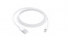 Apple Lightning to USB Cable - 1m